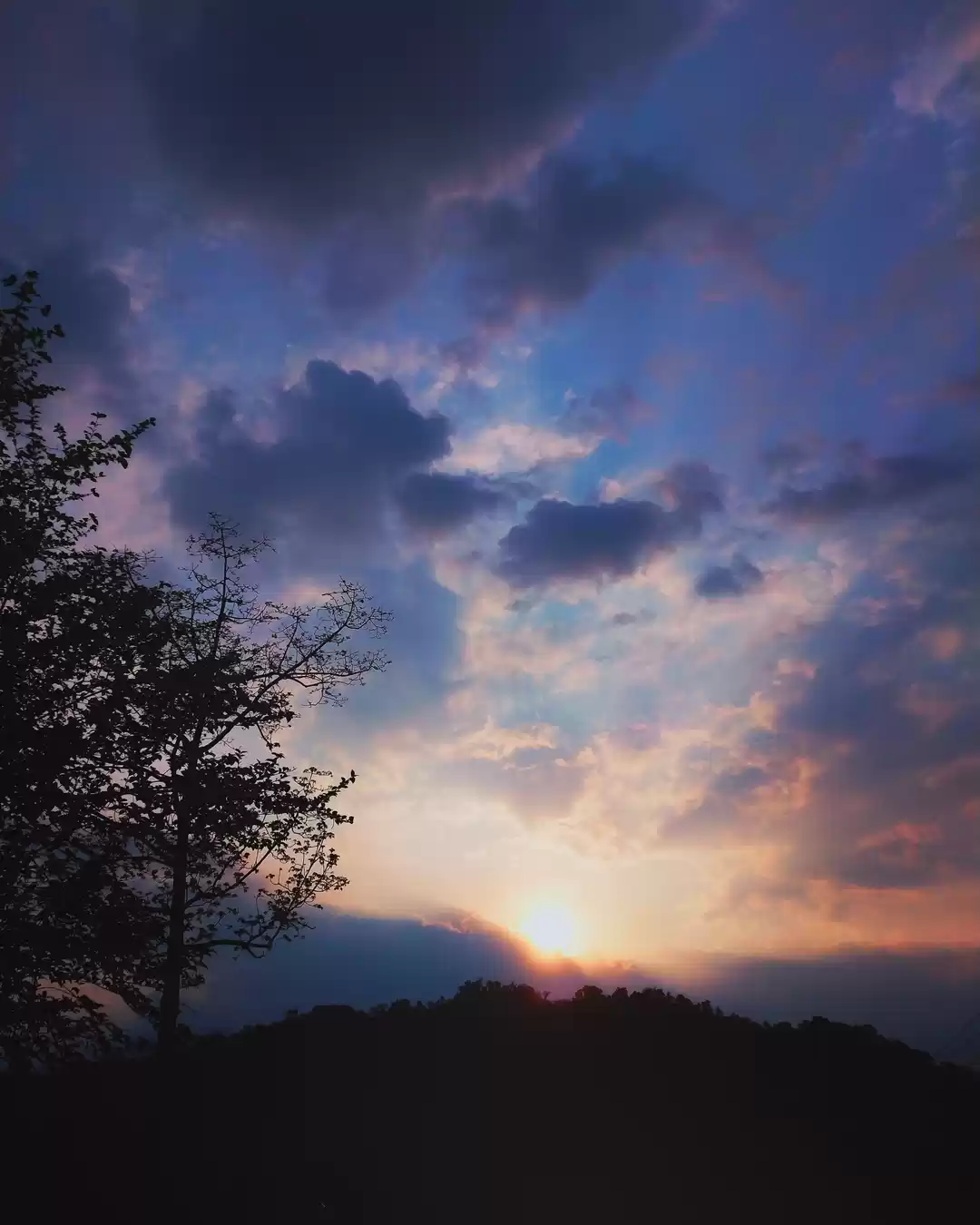 Photo of Unknown,undescribed,