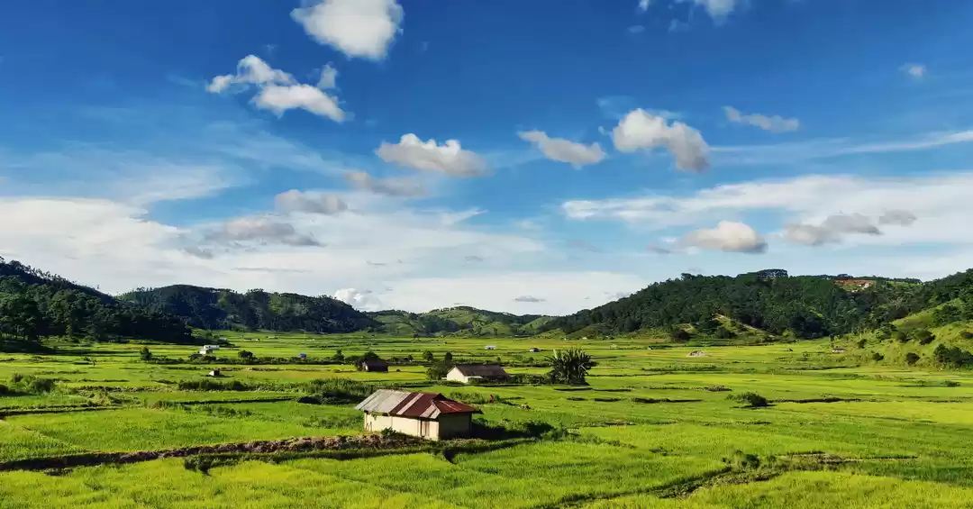 Photo of Drive-by landscapes 