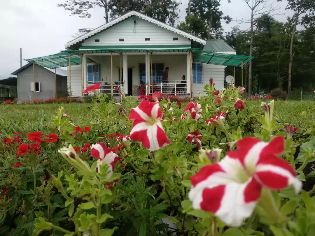 Photo of The Untouched.. #Jh