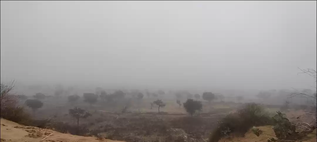 Photo of The famous shekhawat