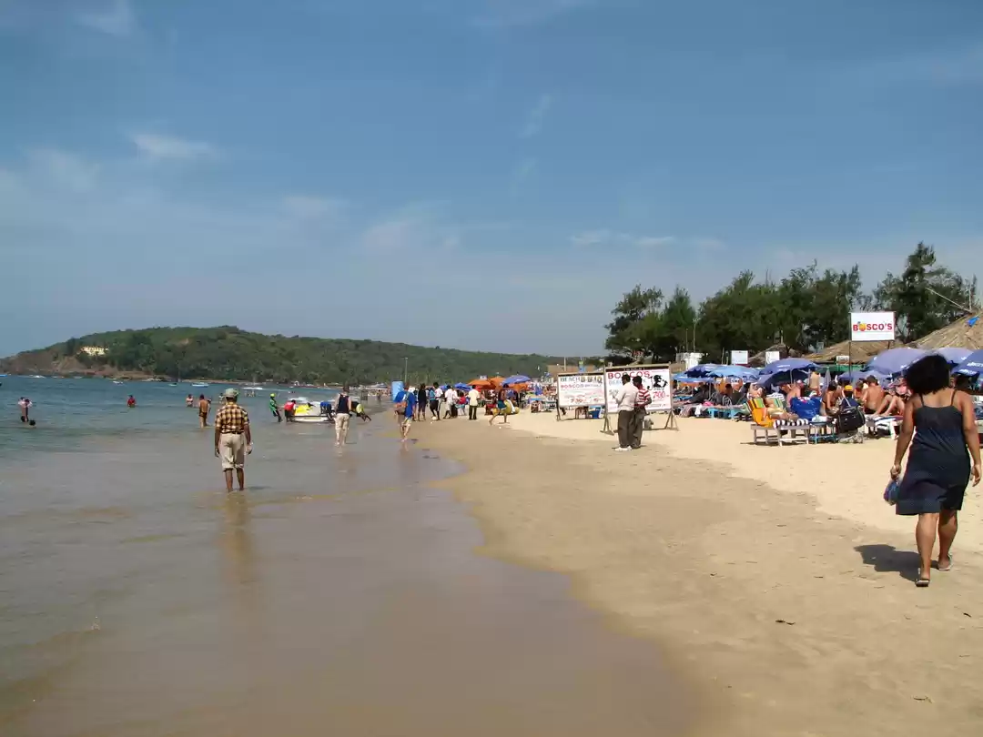 Photo of GOA, the dream for C