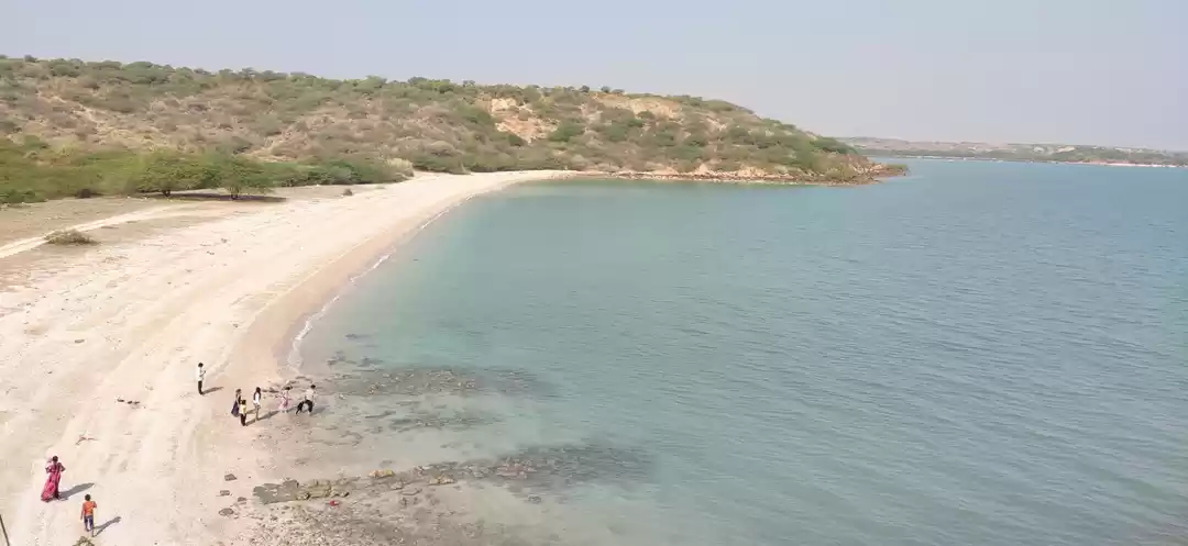 Photo of In an Ocean of Exper