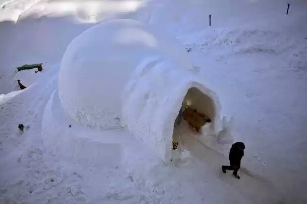 Photo of Dine on Ice Chairs a