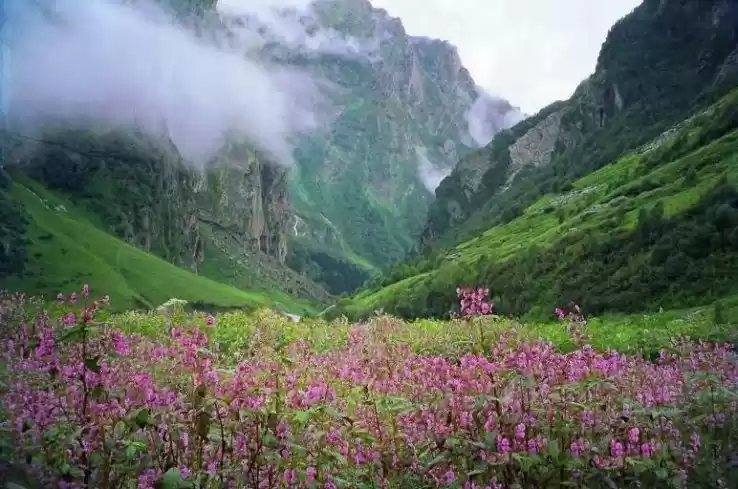 Photo of Dreamy Ideal Vacatio