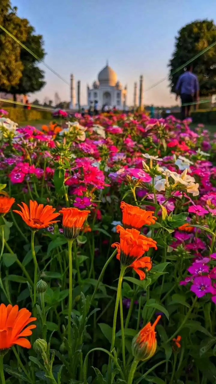 Photo of Minaar-e-ishq