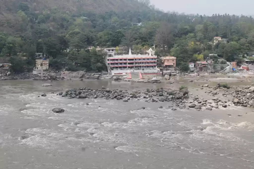 Photo of A date with white wa