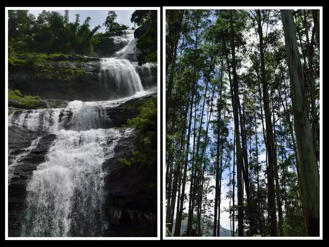 Photo of Mesmerising Munnar
