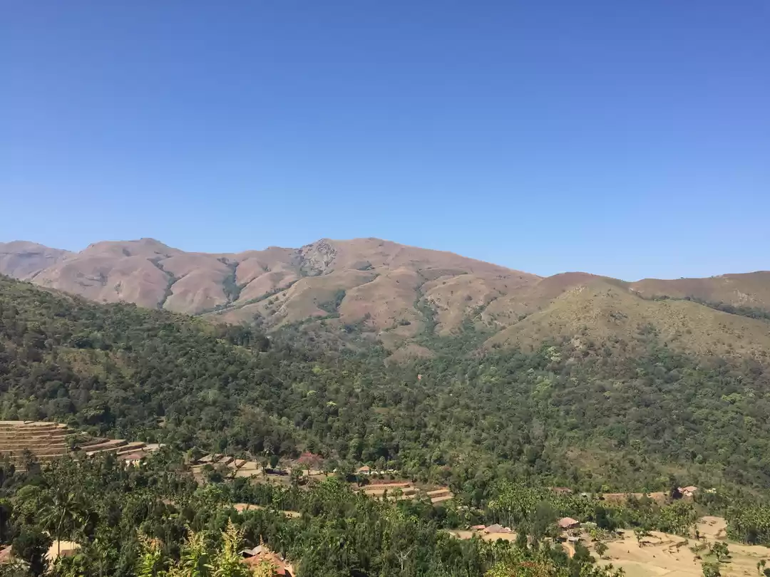 Photo of walk as long as you 