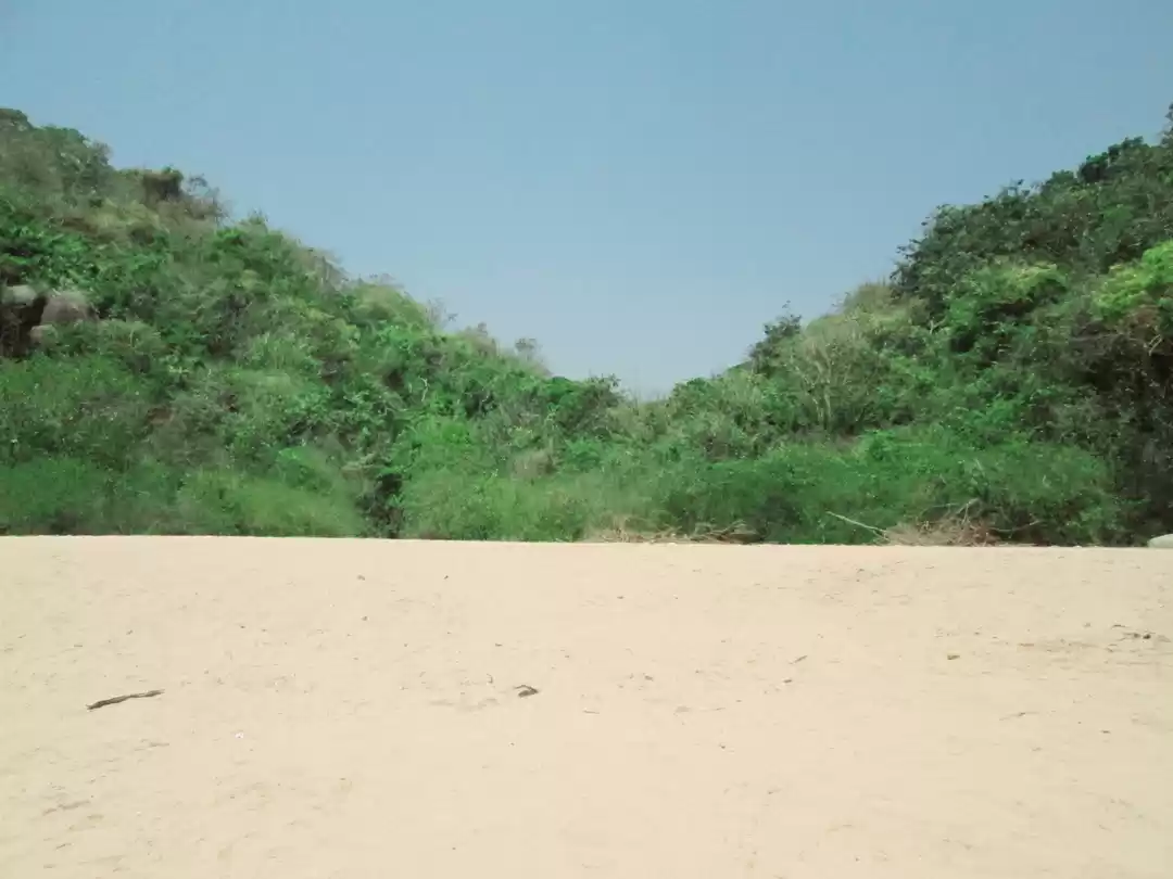 Photo of Alluring Goa !