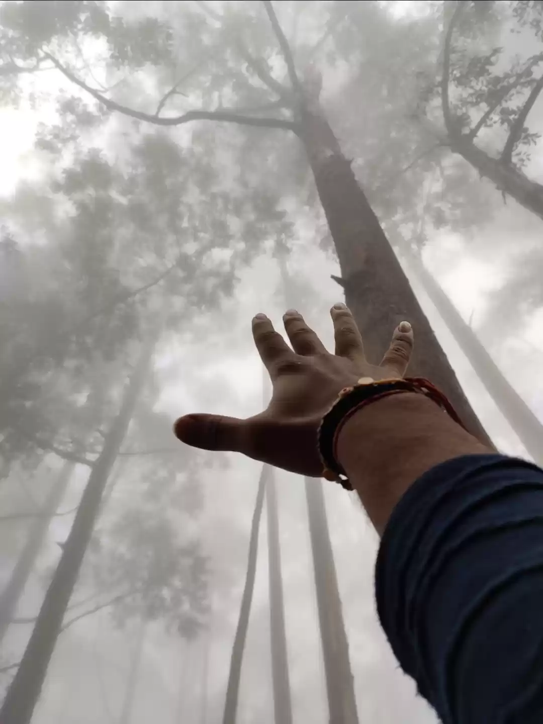 Photo of Walk with me through