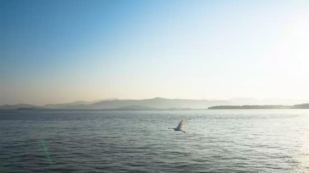 Photo of Weekend Nirvana!