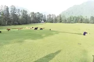 Photo of EXPLORE HIMACHAL