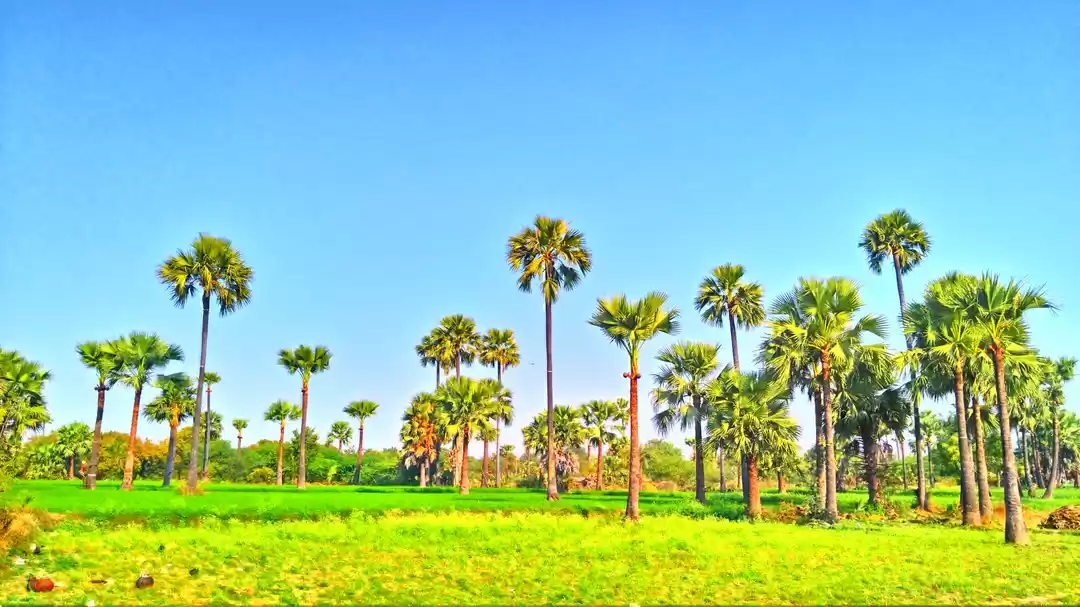 Photo of The soul of India li