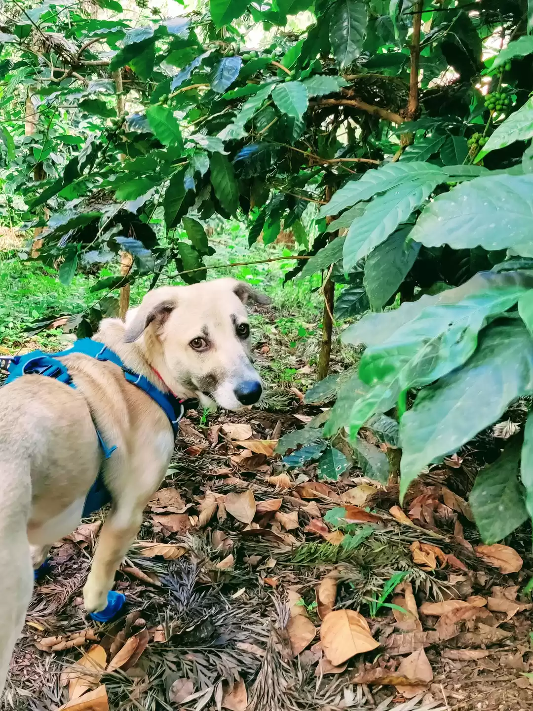 Photo of Tails on Trails: Tak