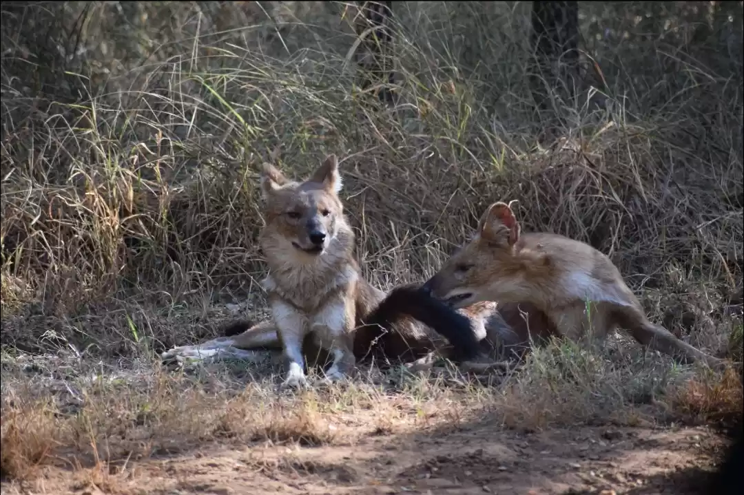 Photo of The panoramic pench�