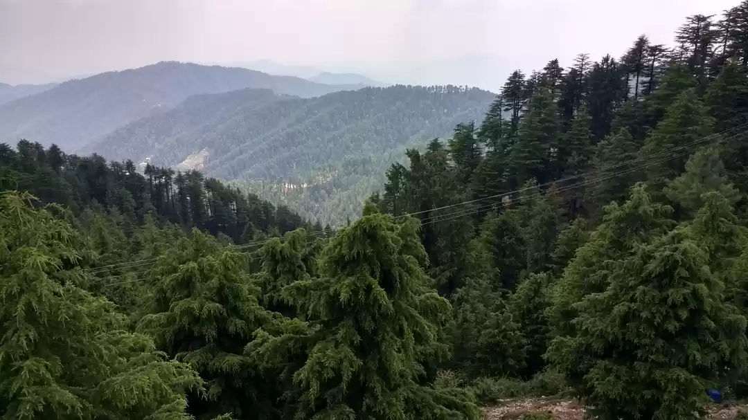 Photo of Trip to the calming 