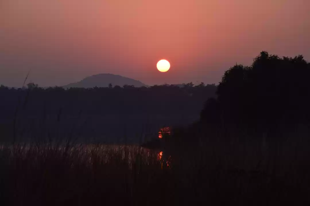 Photo of THE JUNGLES OF SATPU