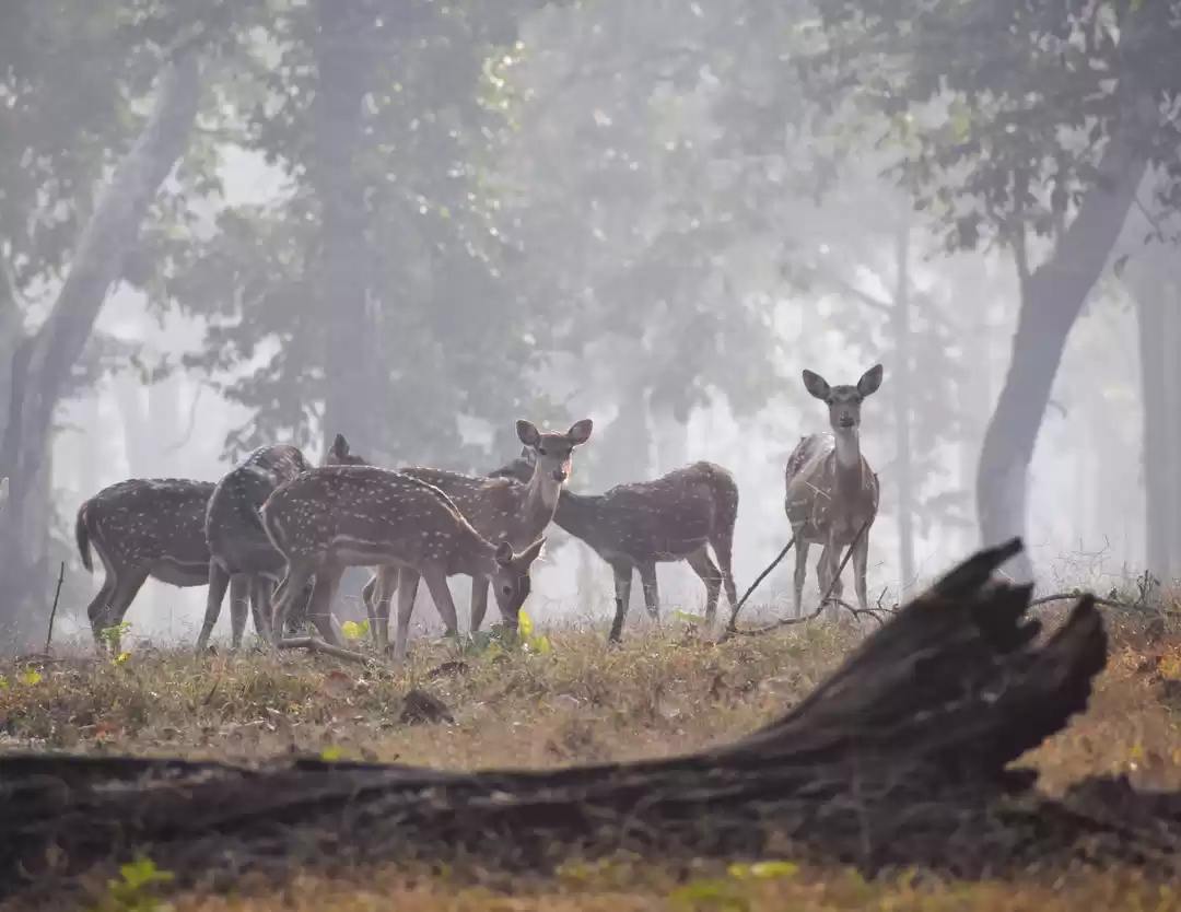 Photo of The unforgettable pe