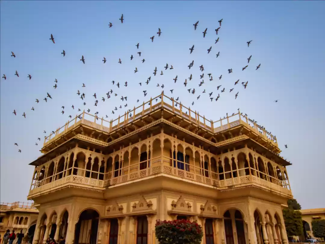 Photo of My first ever solo t