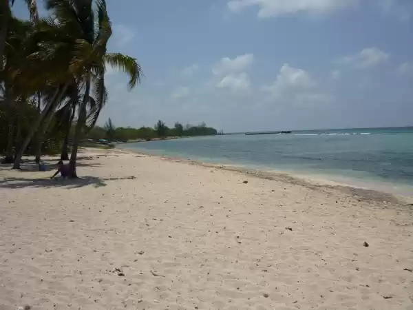 Photo of Cuba: A dozen myths 