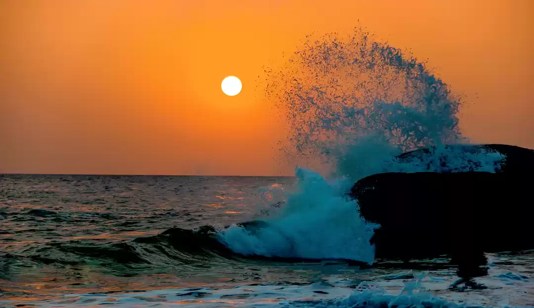 Photo of Back to the Beach