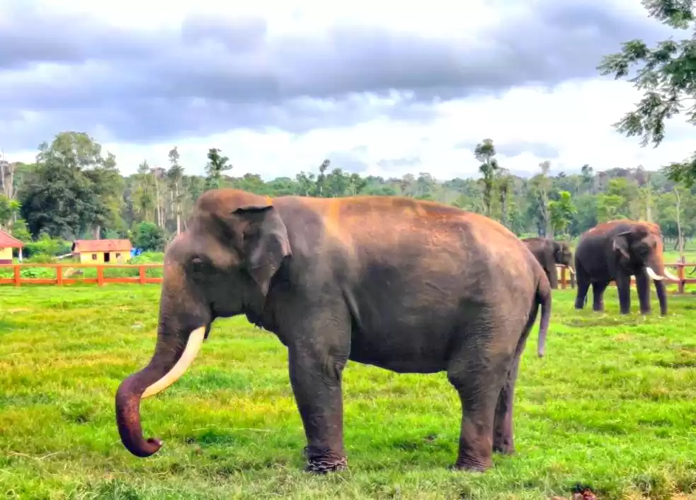 Photo of My fun filled trip t