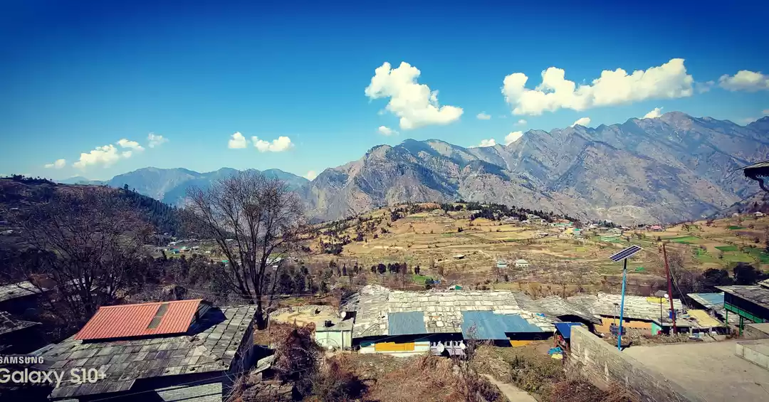 Photo of Pic of the day