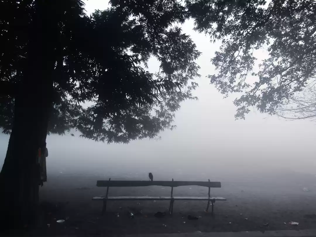 Photo of Head Over to These T