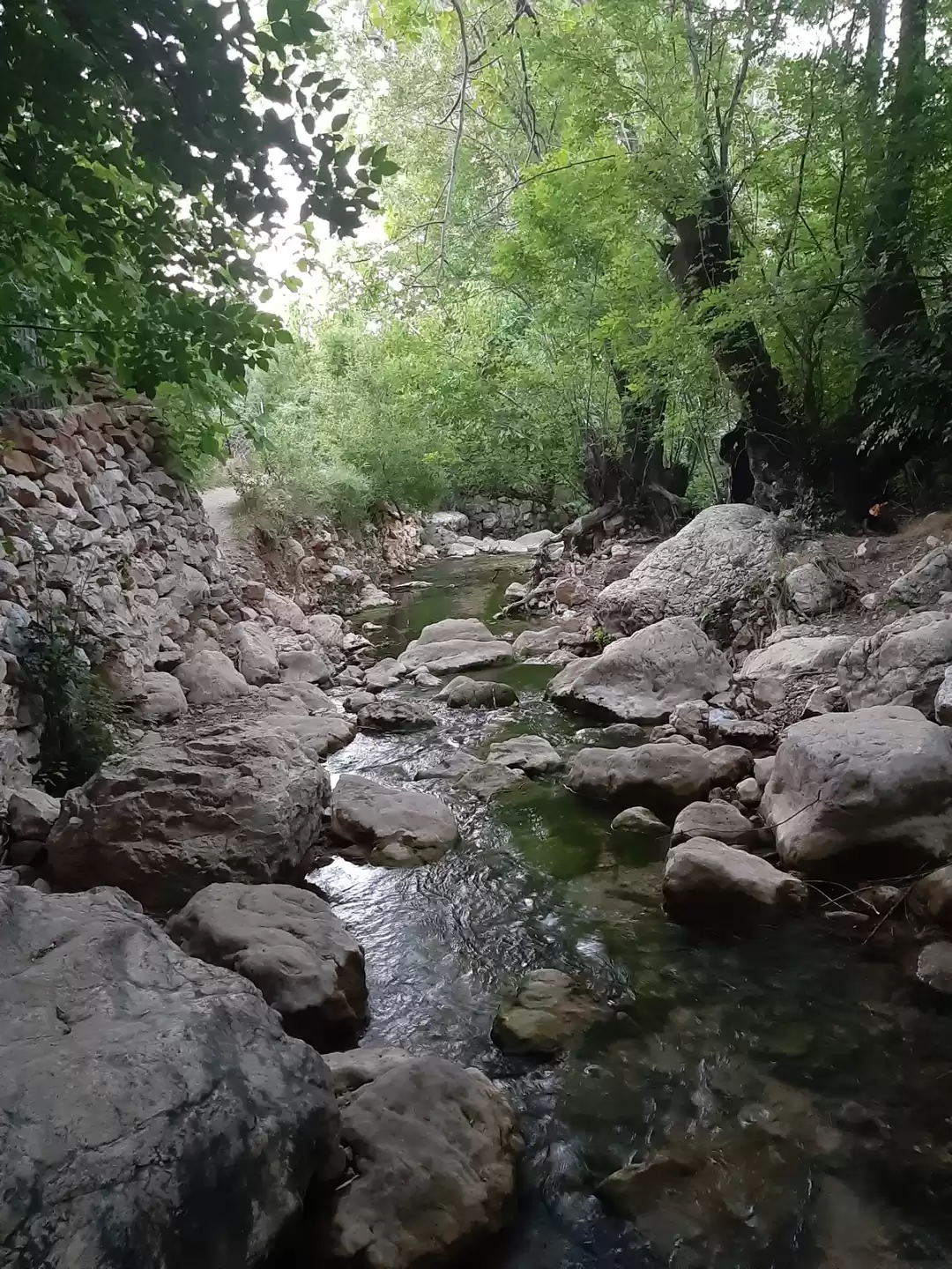 Photo of Neyriz;fars,Tehran;I