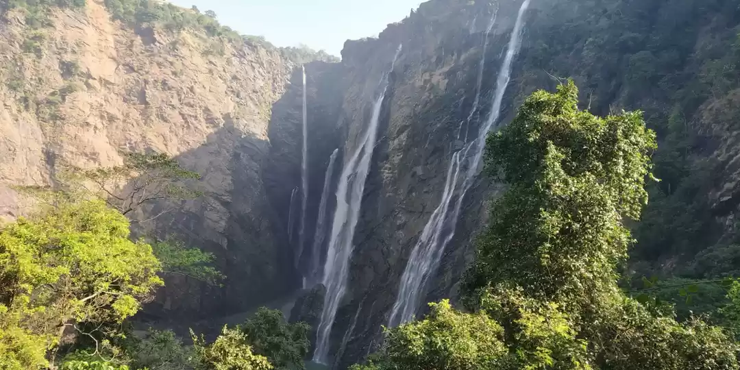 Photo of Jog- The Jocund Fall
