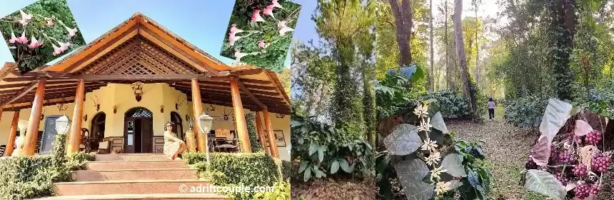 Photo of Indelible Affair At 