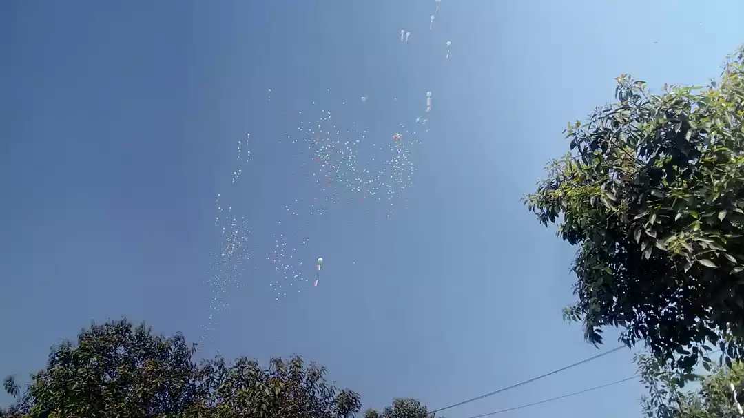 Photo of A little Bite of New