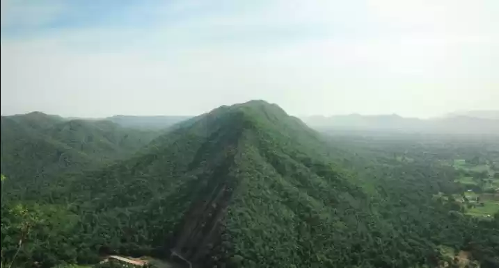 Photo of A day trip to polo f