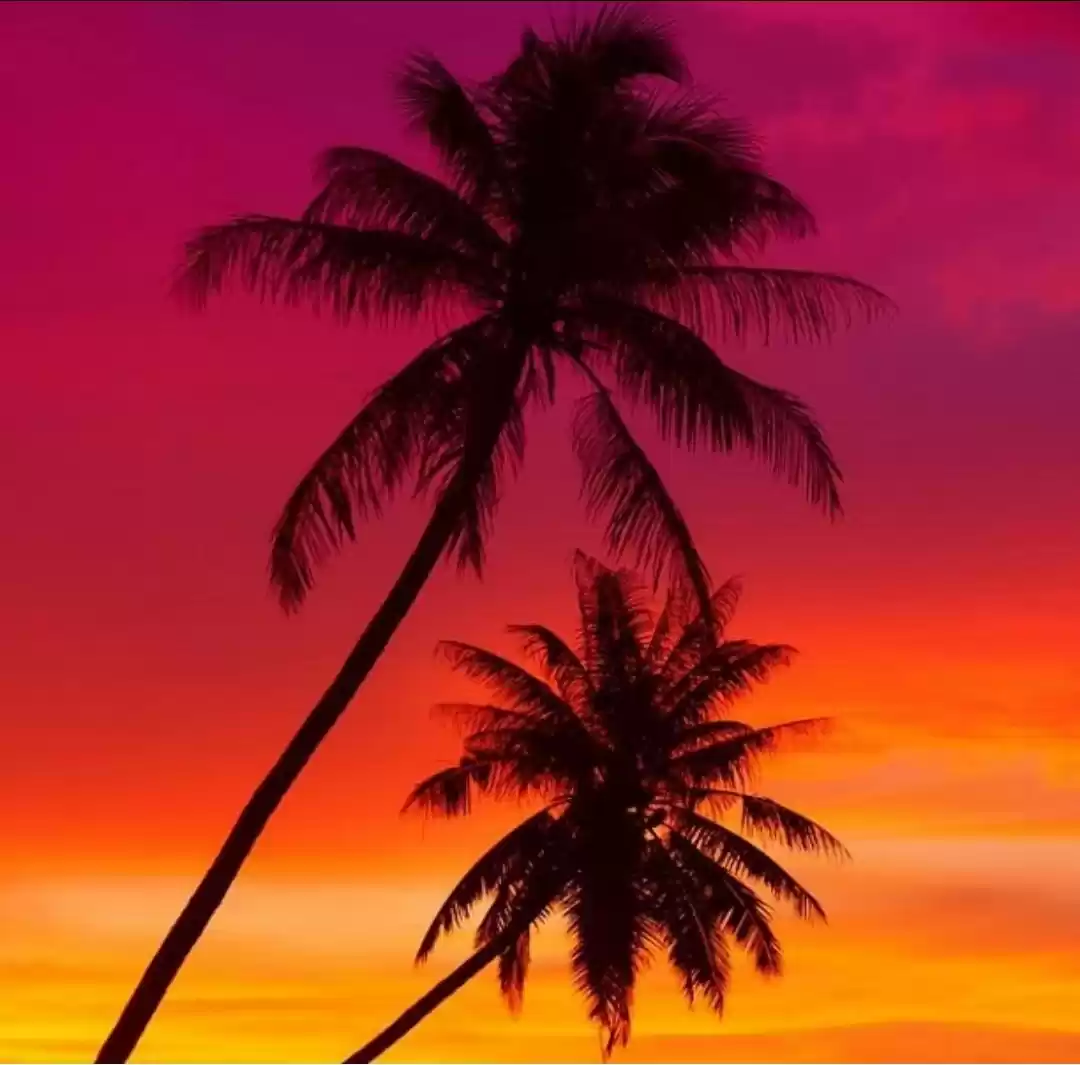 Photo of "Summer - tans will