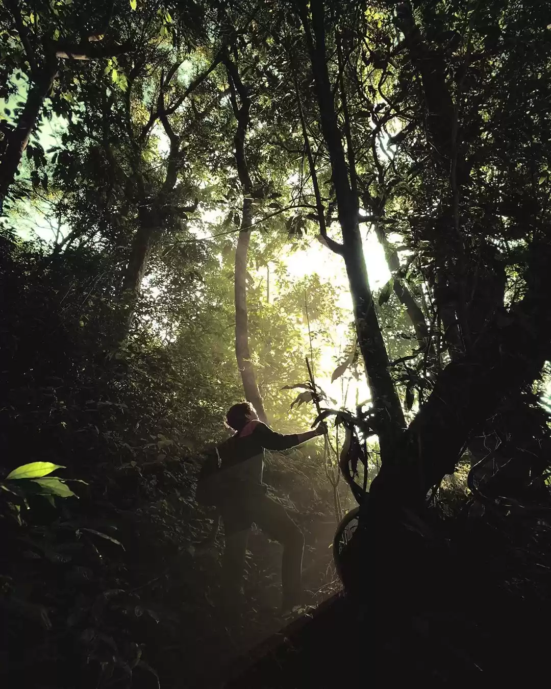 Photo of hike scenes