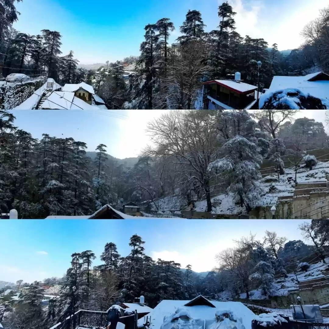 Photo of Snowyyy Shimla ❤