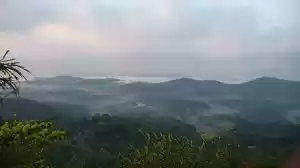 Photo of Green Land : Coorg