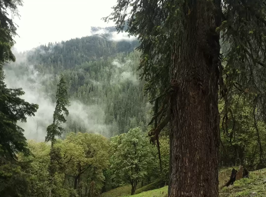Photo of Misty misty view