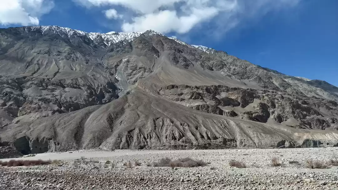 Photo of THE VIST TO THE MOST