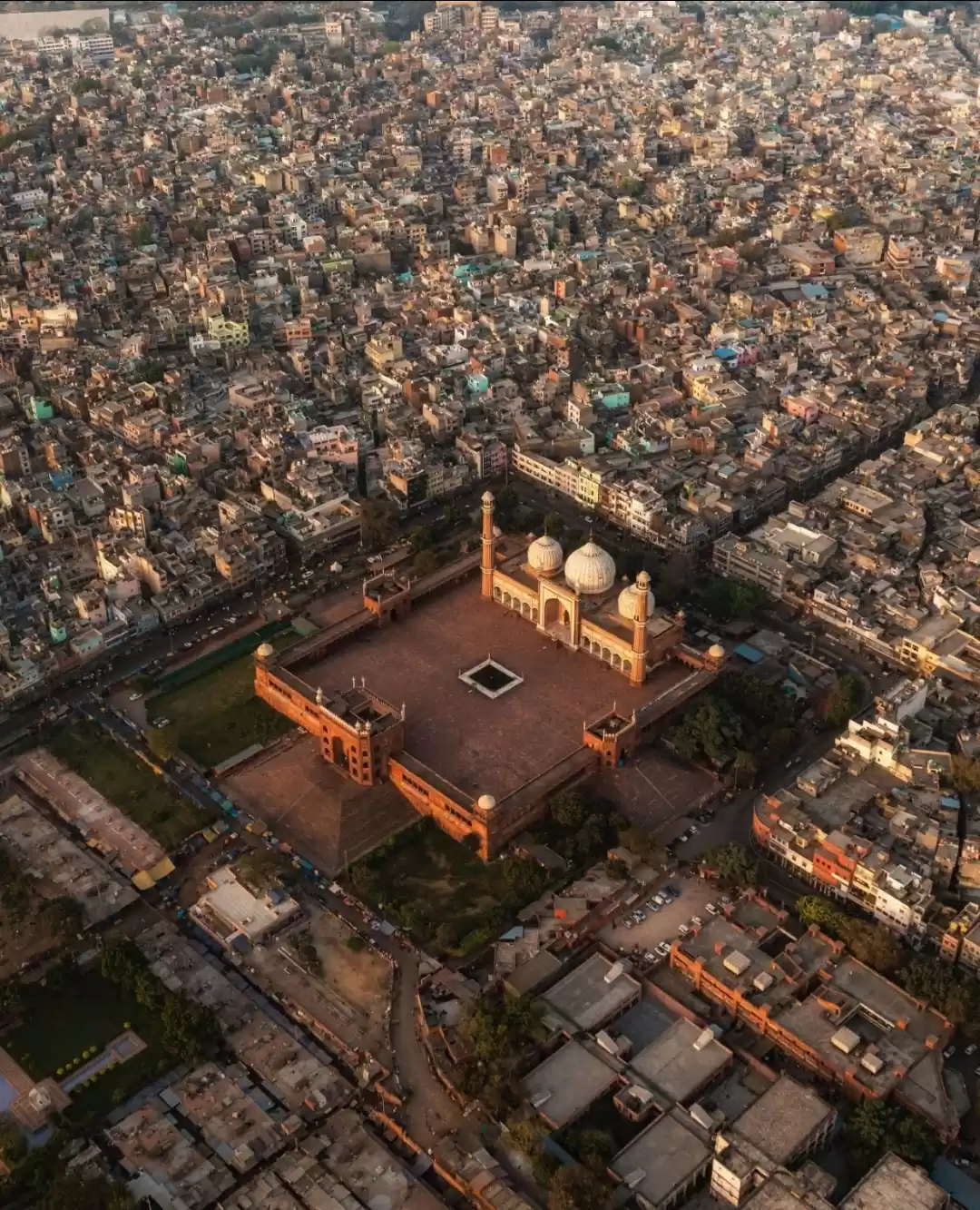 Photo of one of the largest m