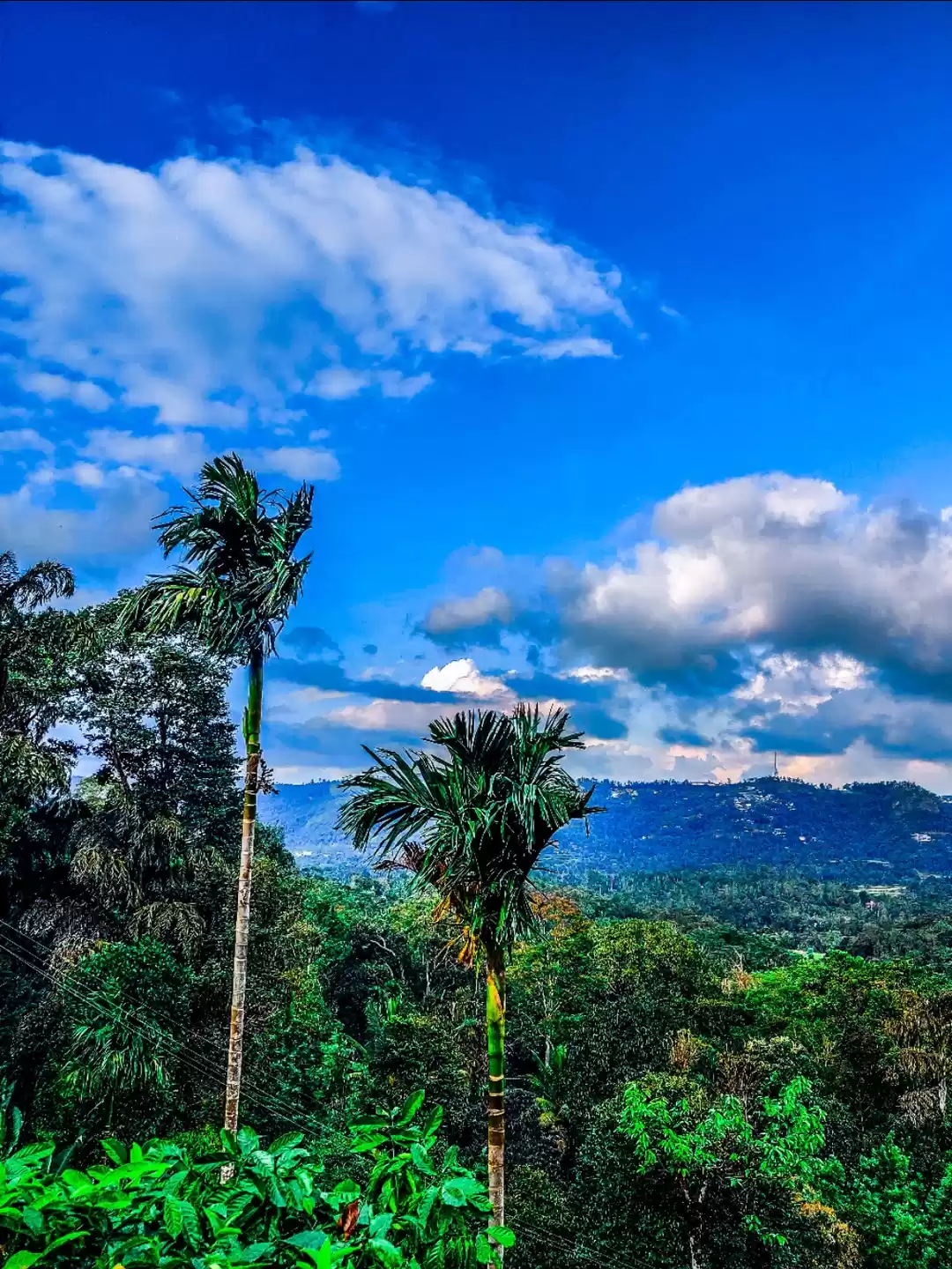 Photo of Coorg, Living it Up