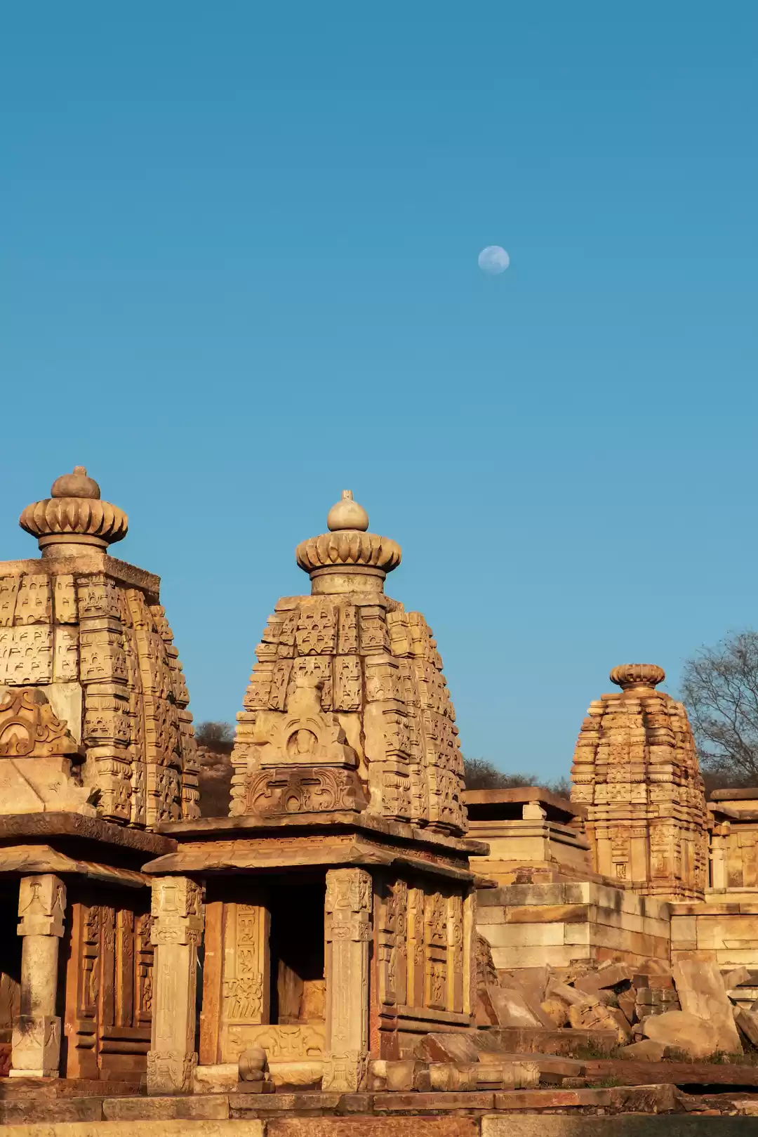 Photo of Discover The Magnifi