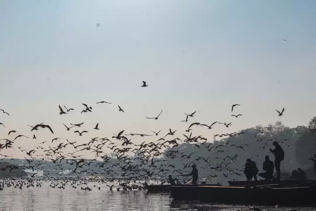 Photo of Misty evenings at Ya