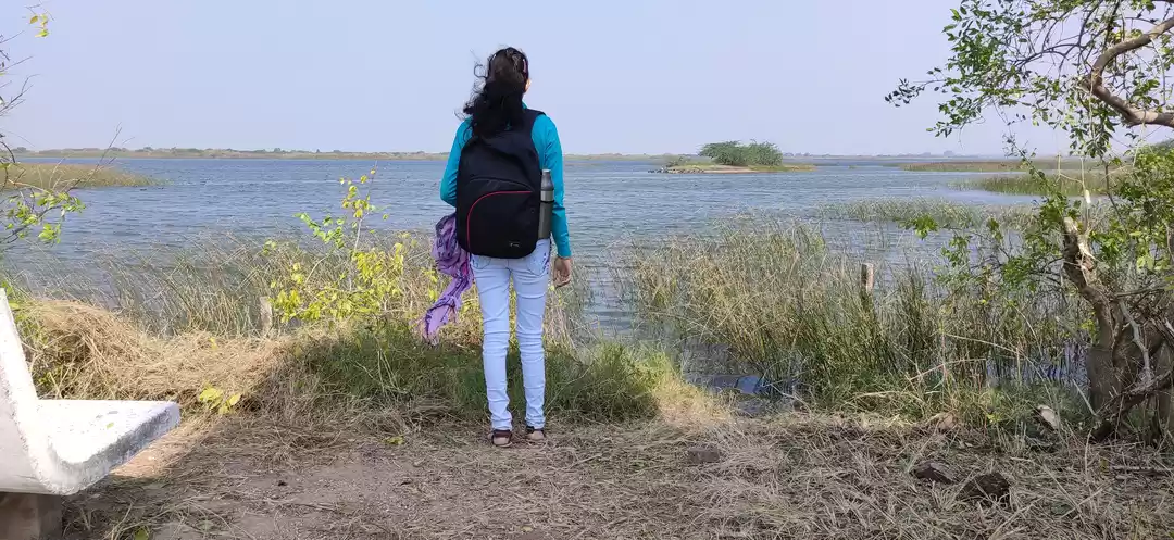 Photo of Heaven For Migratory