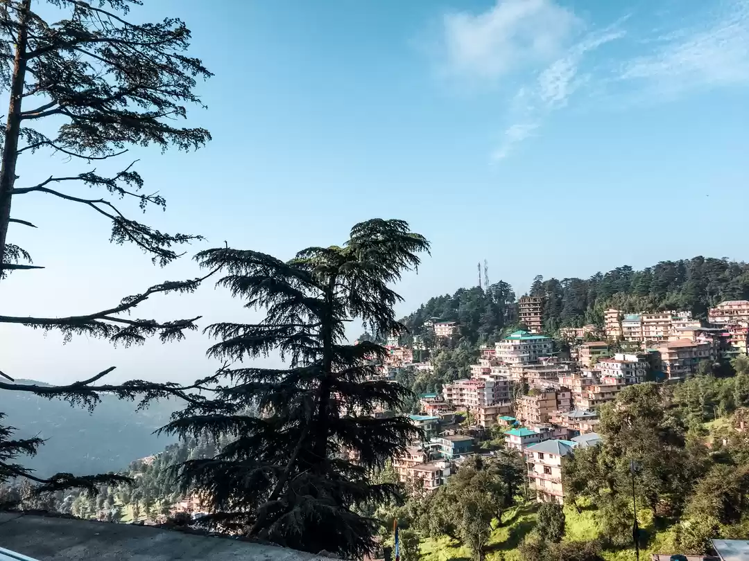 Photo of If a Day Is All You