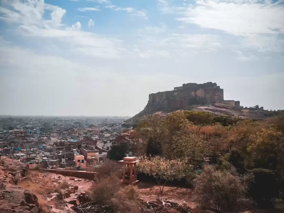 Photo of What to look out for