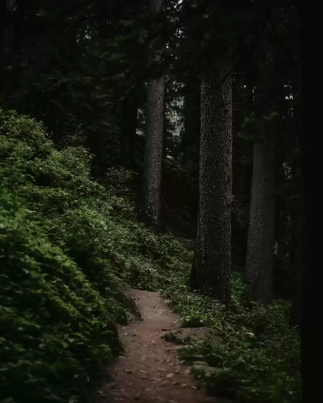 Photo of Kheer Ganga Trek - E