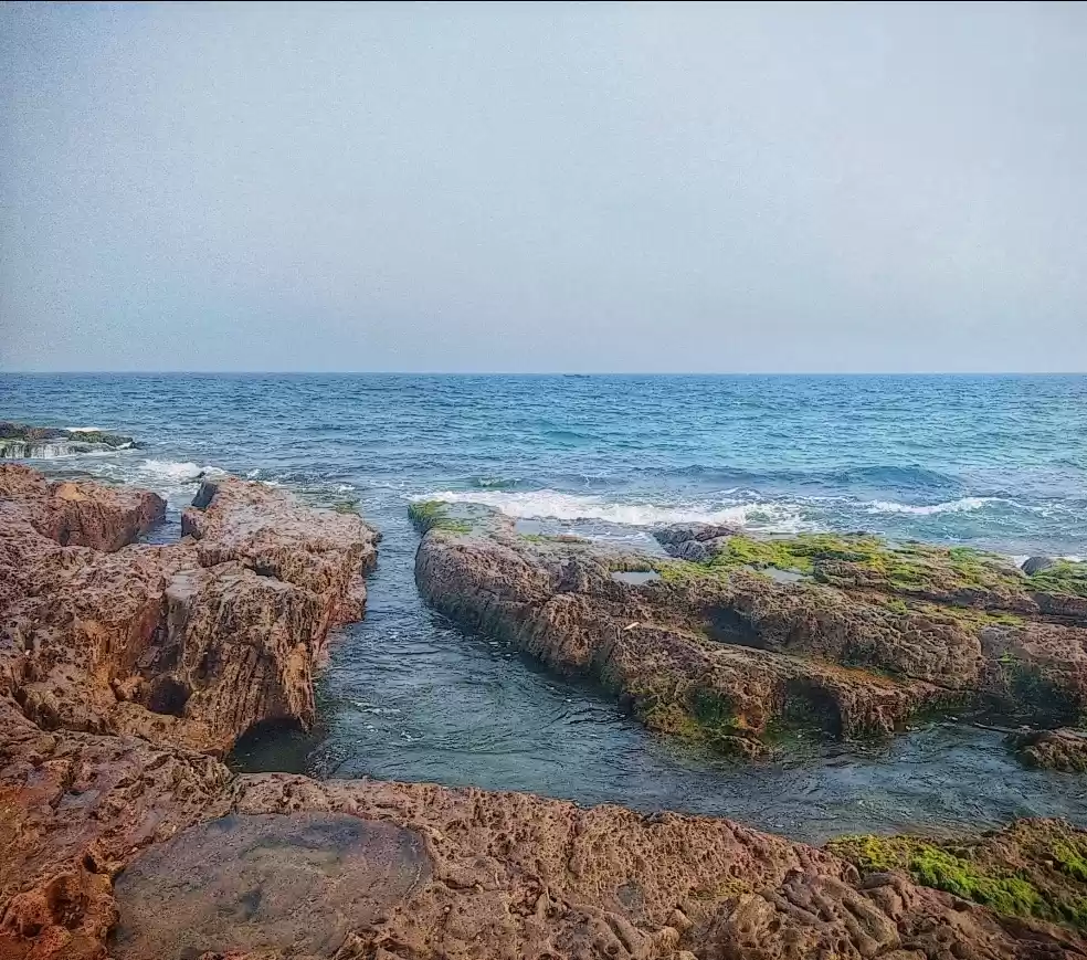 Photo of Get lost in the natu