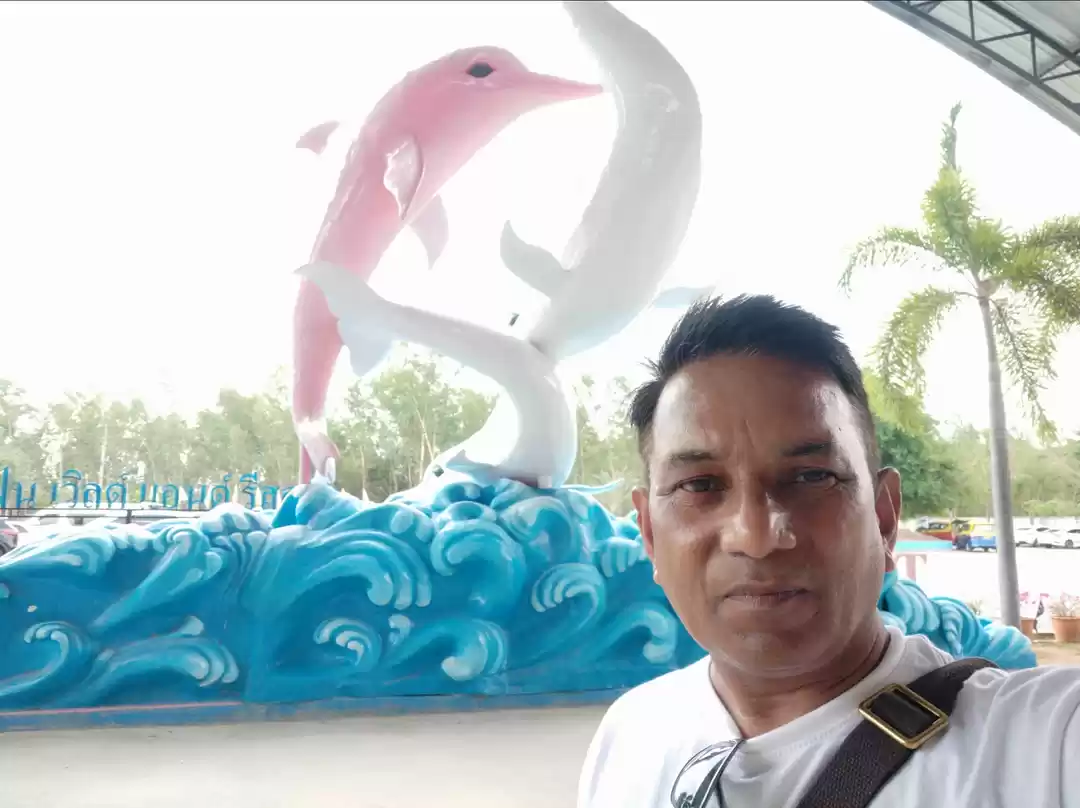 Photo of Dolphin World, Patta