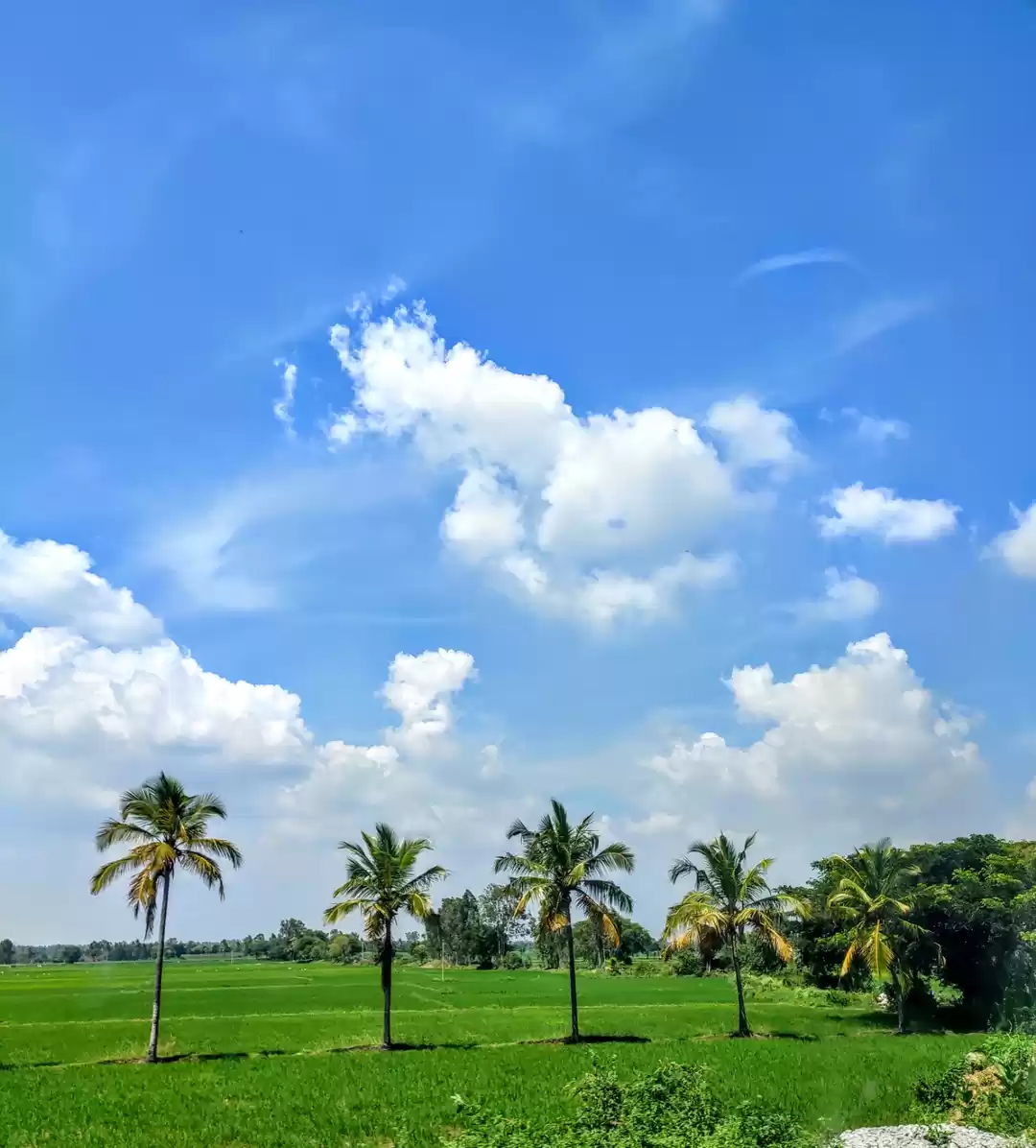 Photo of One day trip to Myso